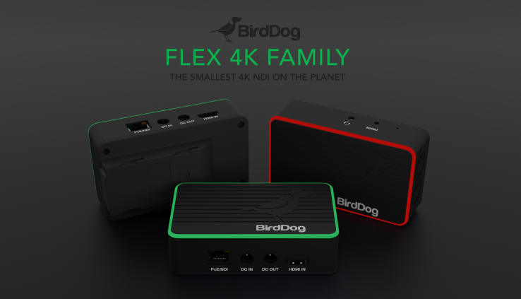 birddog flex in