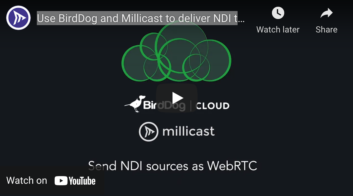 Use BirdDog and Millicast to Deliver NDI through WebRTC At-Scale