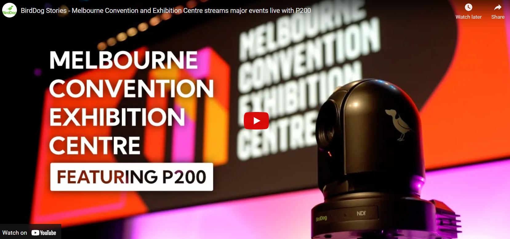 BirdDog Success Story: How NDI Technology and BirdDog P200 PTZ Cameras Can Stream Major Live Events