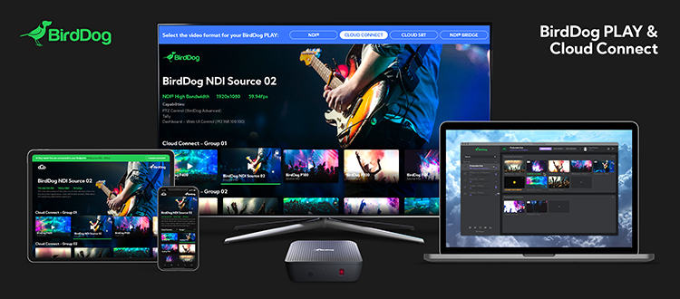 BirdDog Welcomes Two New Products and NDI® 5 Support Across All Hardware Products