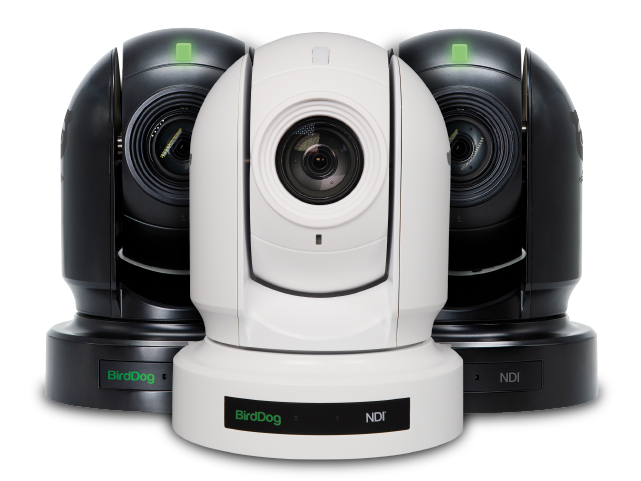 Cut Costs With BirdDog NDI
