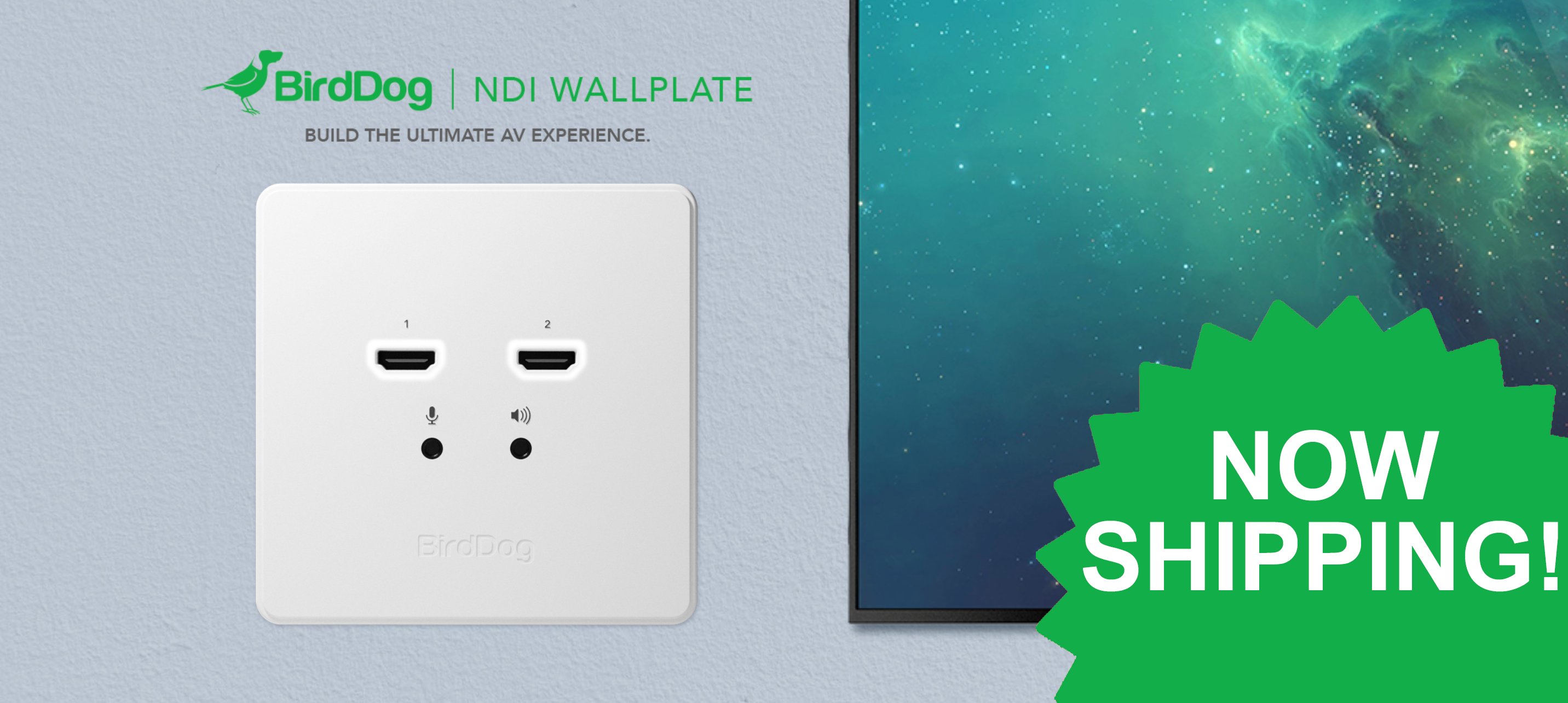 NEW PRODUCT ALERT: BirdDog NDI Wallplate