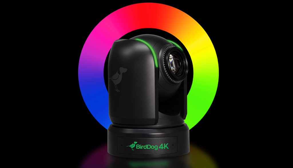 Introducing P4K from BirdDog