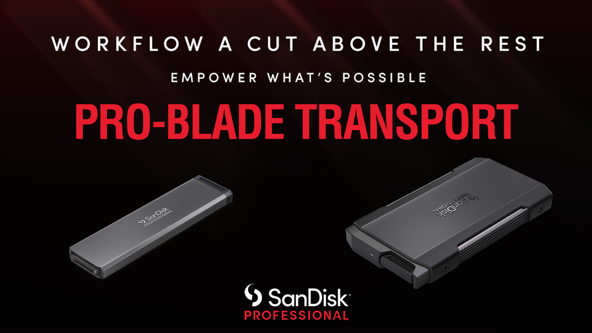 NEW PRODUCT ALERT: SanDisk Professional PRO-BLADE