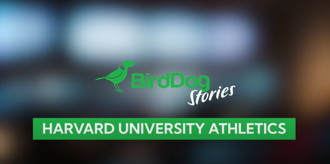 BirdDog Stories – Harvard Athletics