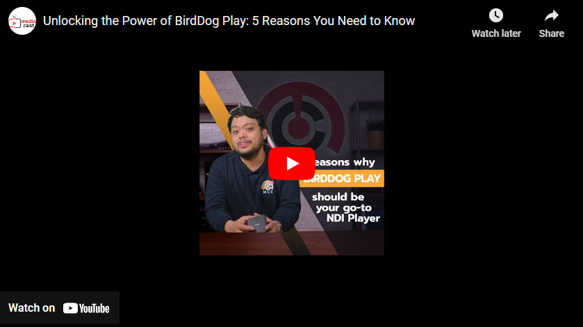 Unlocking the Power of BirdDog Play: 5 Reasons You Need to Know