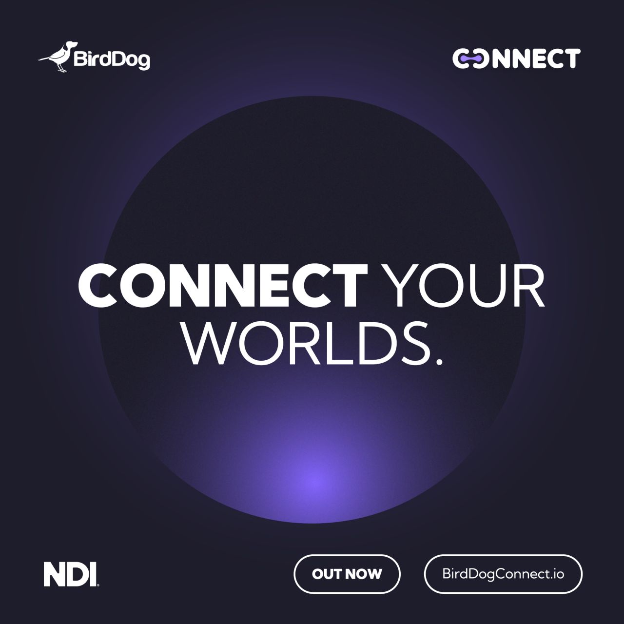 Seamless Global Video Workflows with BirdDog Connect