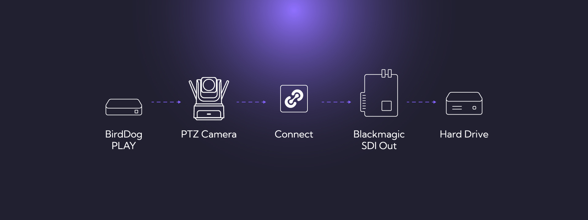 Simplifying Collaboration: How BirdDog Connect Transforms Live, Post, and Remote Workflows